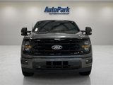 New 2025 Ford F150 XLT image 2