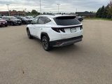 New 2025 Hyundai Tucson SEL image 5