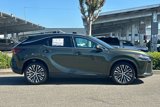 New 2025 Lexus RX 350 Premium Plus image 3