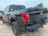 New 2025 Ford F150 Tremor w/ Equipment Group 402A High image 5