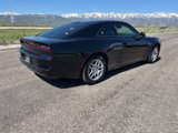 New 2025 Dodge Charger R/T w/ Quick Order Package 25M R/T image 3