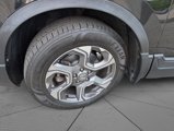 Certified 2019 Honda CR-V EX-L image 3