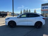 New 2025 Ford Escape ST-Line Elite w/ Premium Technology Package image 3