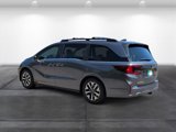 New 2026 Honda Odyssey EX-L image 3