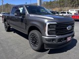New 2025 Ford F250 Platinum image 4
