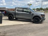 New 2025 Ford F150 XLT w/ Equipment Group 303A High image 6