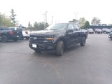 New 2025 Ford F150 XLT image 5