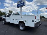 New 2025 Ford F450 XL w/ XL Chrome Package image 4