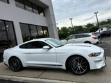 Certified 2023 Ford Mustang Coupe w/ Equipment Group 101A image 3