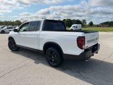 Used 2025 Honda Ridgeline Black Edition image 3