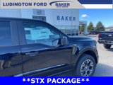 New 2025 Ford F150 STX image 6