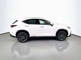 New 2025 Lexus NX 350h AWD w/ Premium Package image 4