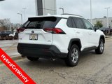 Certified 2024 Toyota RAV4 LE image 3