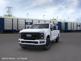 New 2025 Ford F250 Platinum image 2