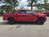 New 2025 Ford F150 XLT w/ Equipment Group 302A MID image 4