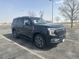 New 2025 Nissan Armada Platinum w/ Convenience Package image 4