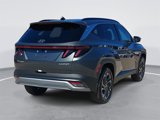 New 2025 Hyundai Tucson Limited image 5