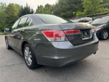 Used 2012 Honda Accord EX-L image 5