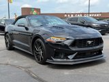 Used 2023 Ford Mustang Premium image 2