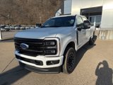New 2025 Ford F250 Platinum image 3