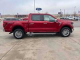 New 2025 Ford F150 XLT w/ Equipment Group 302A MID image 4