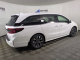 New 2025 Honda Odyssey Elite image 5