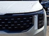New 2025 Kia Carnival SX Prestige image 4