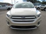 Certified 2018 Ford Escape SE w/ Ford Safe & Smart Package image 2