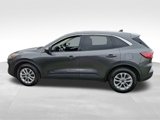 Used 2020 Ford Escape SE image 4
