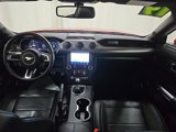 Certified 2019 Ford Mustang Premium w/ Equipment Group 201A image 5