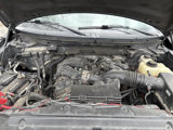 Used 2013 Ford F150 XLT w/ Mid Equipment Group image 4