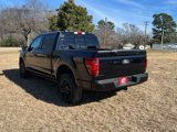 New 2025 Ford F150 Platinum w/ Equipment Group 702A High image 5
