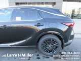New 2025 Lexus RX 350h image 4