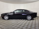 New 2025 Dodge Charger R/T w/ Quick Order Package 25M R/T image 3