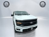 New 2025 Ford F150 XLT w/ Equipment Group 303A High image 3