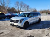 New 2025 Kia Carnival SX Prestige image 3