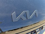 New 2025 Kia Carnival SX Prestige image 4