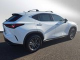 New 2026 Lexus NX 350 AWD w/ Premium Package image 3