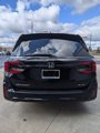 New 2025 Honda Odyssey Elite image 4