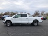 New 2025 Ford F150 XLT image 2