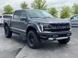New 2025 Ford F150 Raptor image 3