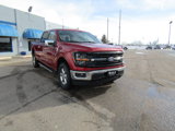 New 2025 Ford F150 XLT w/ Equipment Group 302A MID image 3