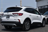 Used 2021 Ford Escape SEL image 6