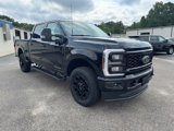 New 2025 Ford F250 4x4 Crew Cab Super Duty image 4