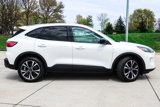 Used 2022 Ford Escape SE w/ SE Sport Appearance Package image 5