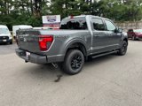 New 2025 Ford F150 XLT image 6