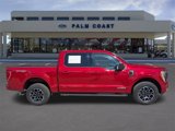 Certified 2022 Ford F150 XLT w/ Equipment Group 302A High image 2