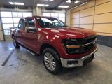 New 2025 Ford F150 XLT w/ Equipment Group 303A High image 1