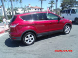 Used 2016 Ford Escape SE w/ SE Leather Comfort Package image 6