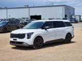 New 2026 Kia Carnival SX Prestige image 4